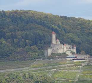 Burg Hornberg