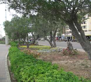 Die schöne Promenade - über 9 km lang