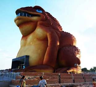 Mountenfrogmuseum im issan