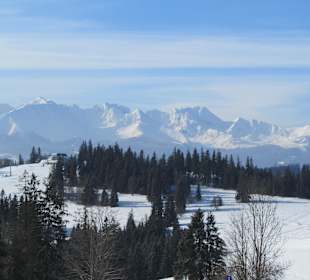 Niebieska trasa do Kotelnicy Express