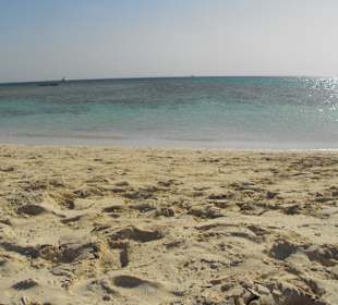 Schnorcheltour- Blick vom Giftun Island Strand