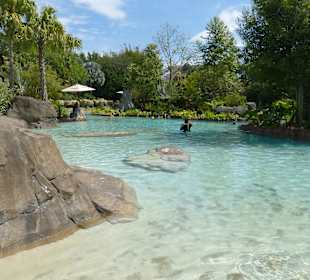 Discovery Cove