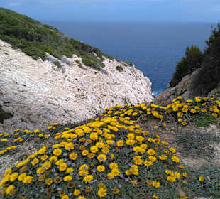 Wandern Cala Ratjada	