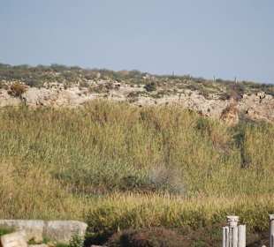 Die Akropolis im Hintergrund