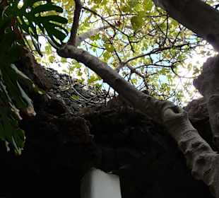 Fundacion Cesar Manrique