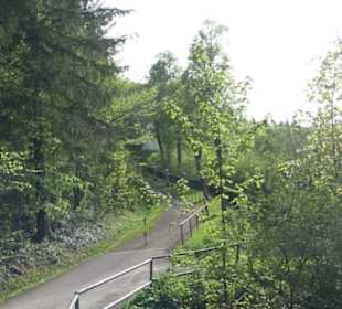 Wallfahrtskirche Mariazell Boll