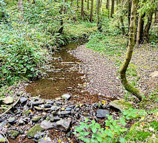 Wandern Friedrichroda