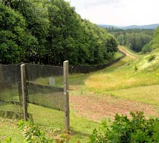 Grenzstreifen mit Metallgitterzaun