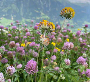 Wandern Bad Hofgastein