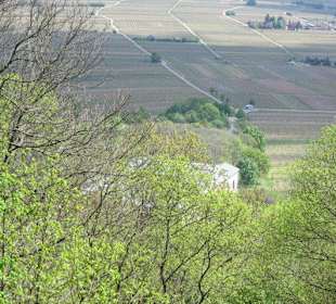 Aussichtspunkt von König Ludwig I