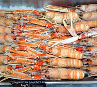 Auslage der Poissonnerie Ty´Breizh