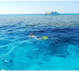 Schnorchelausflüge-Delfinschwimmen Marsa Alam