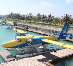 Dein Transportmittel ins Paradies