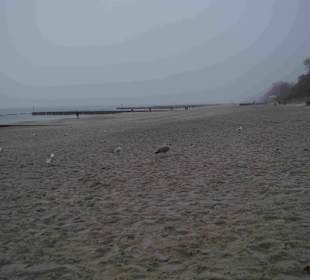 Strand Kolberg/Kolobrzeg