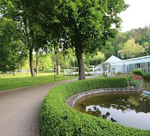 Licht und Schatten im Kurpark