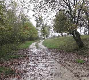 Naturschutzgebiet Listhof