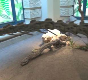 Niedersächsisches Landesmuseum