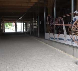 Haupt- und Landgestüt Marbach