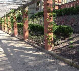 Rosengarten Villa Berg