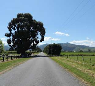 Wunderschöne Natur im Raum Blenheim
