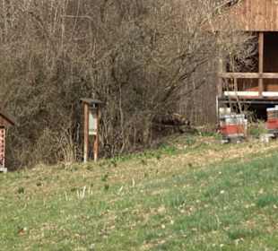 Bienenlehrpfad