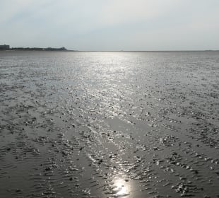 Wattenmeer-Wanderung an der Nordsee bei Cuxhaven
