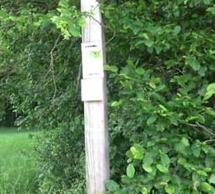 Premiumwanderweg "hochgelegen"