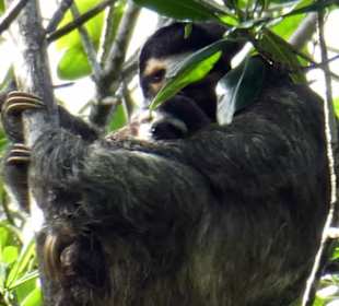 Relax Day Tour mit Federico. Eine kleine Auswahl