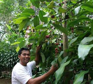 Reiseführer perfektes Deutsch "Kiki"