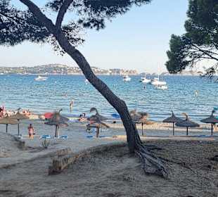 Strand Paguera/Peguera