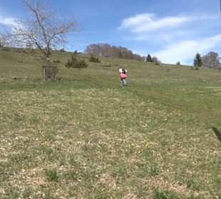 Rundweg am Beutenlay