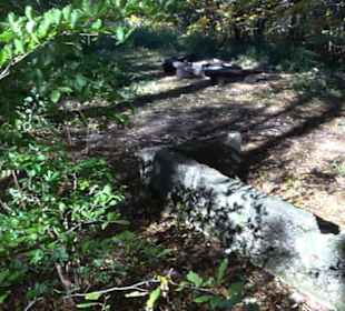 Ehemaliger Segelflug-Startplatz