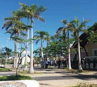 Stadtrundgang Varadero