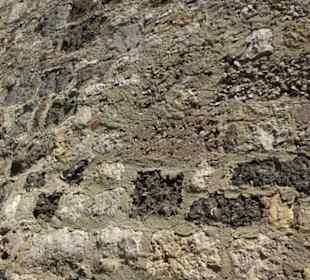 Burgruine Niederhaus