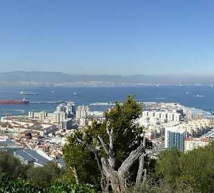 Ausflug nach Gibraltar 