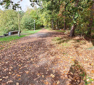 Untere Allerniederung bei Boye 