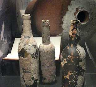 Braun-Menéndez-Museum