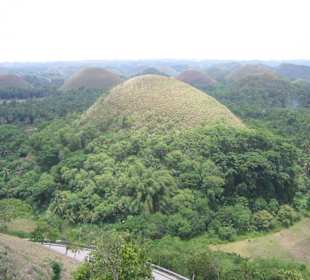 Chocolate Hills