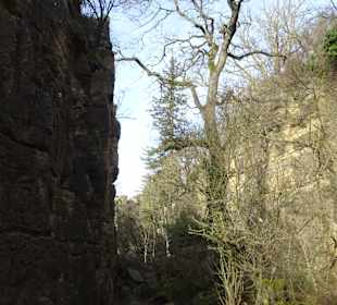 Felsengärten