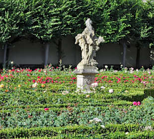 Eindrücke aus dem Bamberger Rosengarten