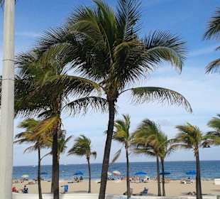 Toller Strandabschnitt