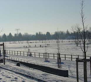 Winter im Park