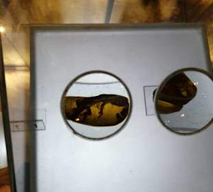 Im Bernsteinmuseum in Gdańsk (Danzig)