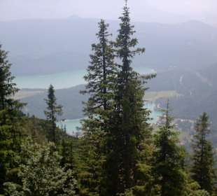 Herrlicher Ausblick ins Tal