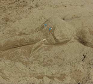 Alles Bauwerk von kleinen und großen Architekten