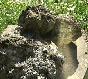 Geologischer Lehrgarten