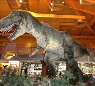 Динозавр - магазин игрушек