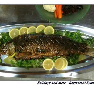 Holidays and more - Fangfrischer Fisch