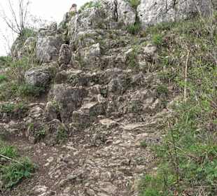 Biotop Knoblauchfelsen
