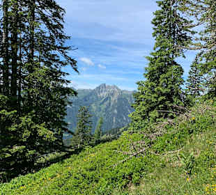 Wandern Kleinarl